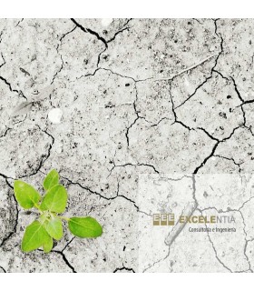 Informe de suelos preliminar o inicial de la empresa - 2 centros